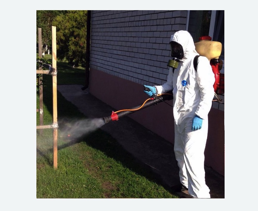 травля клещей на участке в Багратионовске