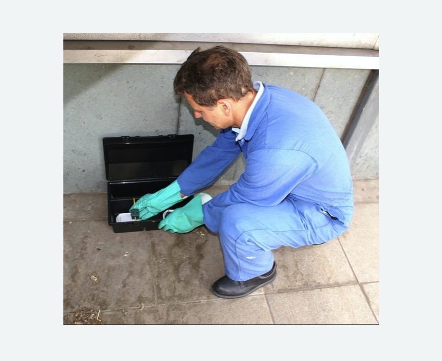 Дератизация помещения в Багратионовске Дератизация помещения