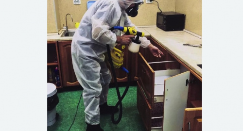 Дезинсекция квартиры. Багратионовск