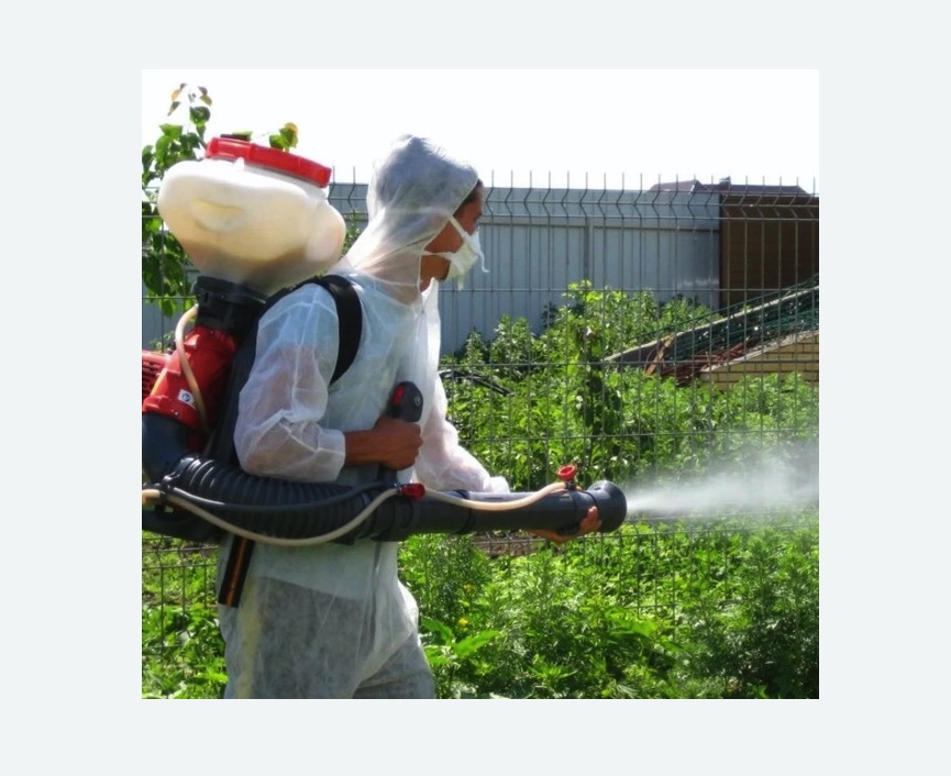 Акарицидная обработка территории в Багратионовске