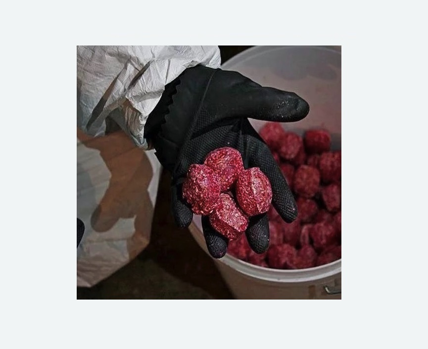 Обработка от крыс в Багратионовске