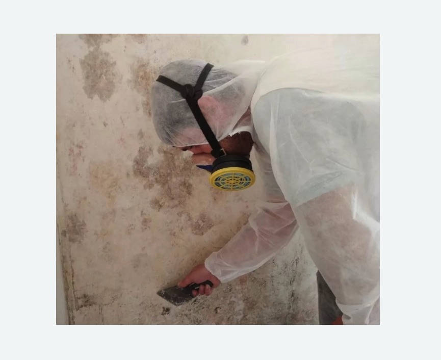 Обработка стен от плесени в Багратионовске