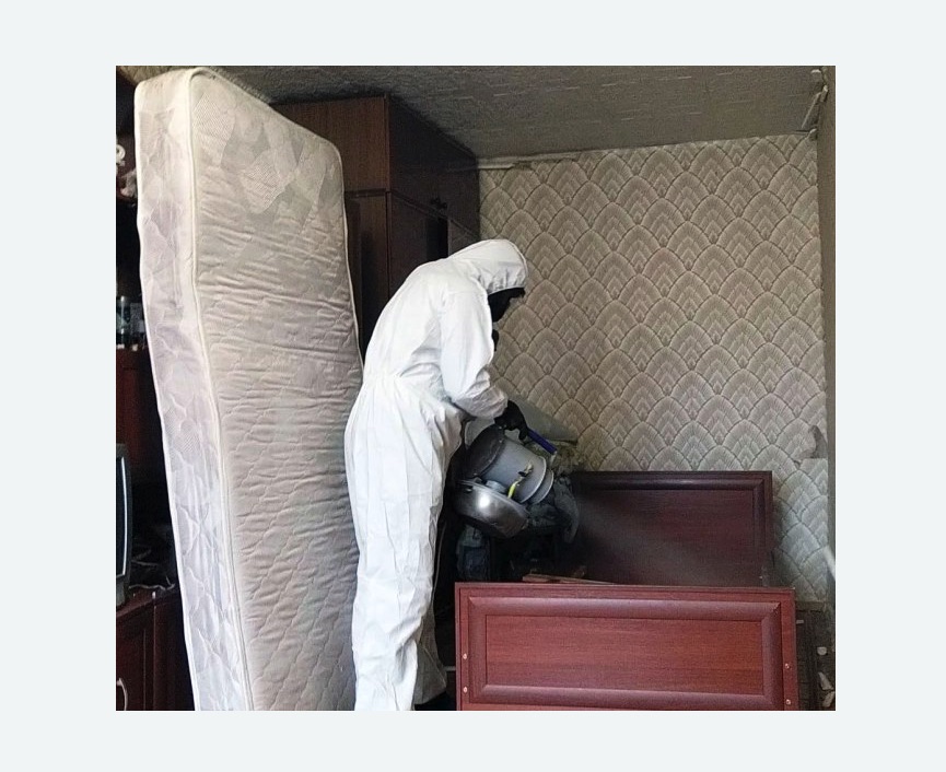 дезинфекция от клопов в Багратионовске