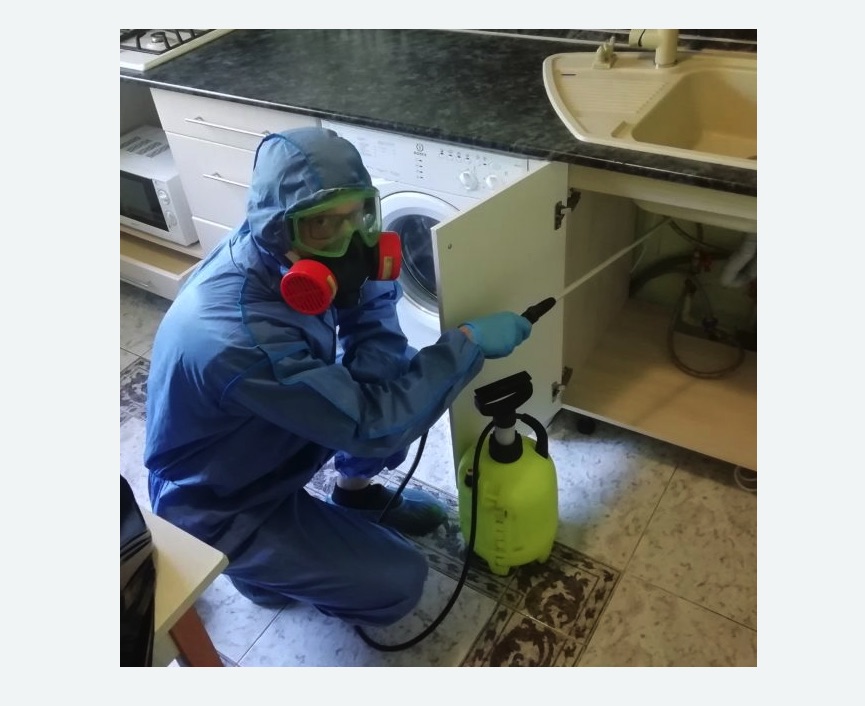 обработка от муравьев в квартире в Багратионовске