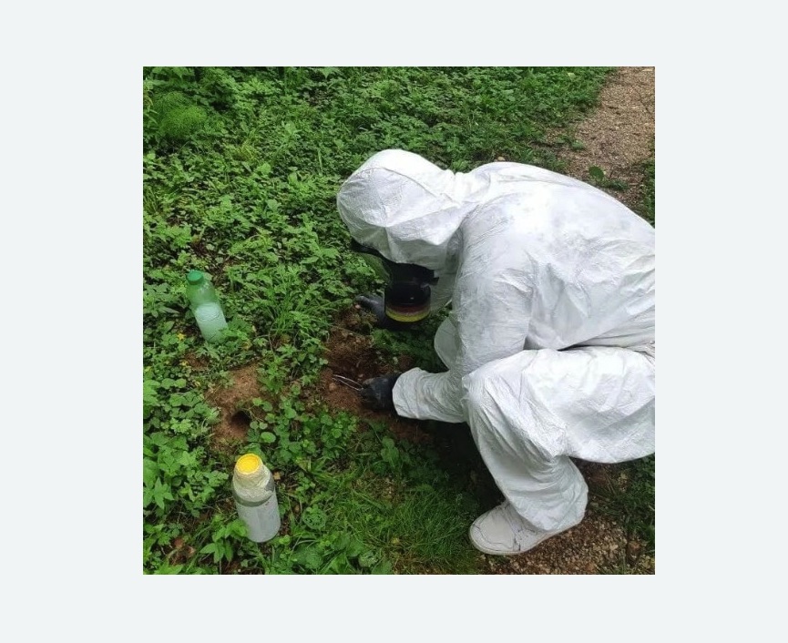 уничтожение кротов на участке в Багратионовске