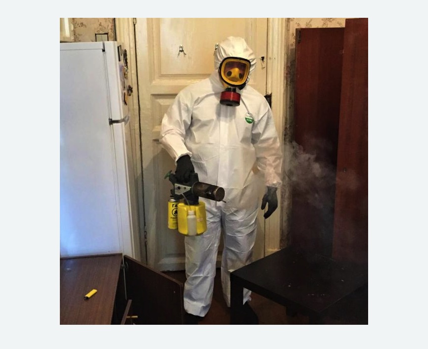 уничтожение муравьев в квартире в Багратионовске